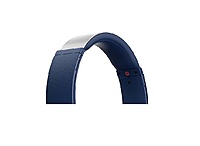 MDR-XB550AP